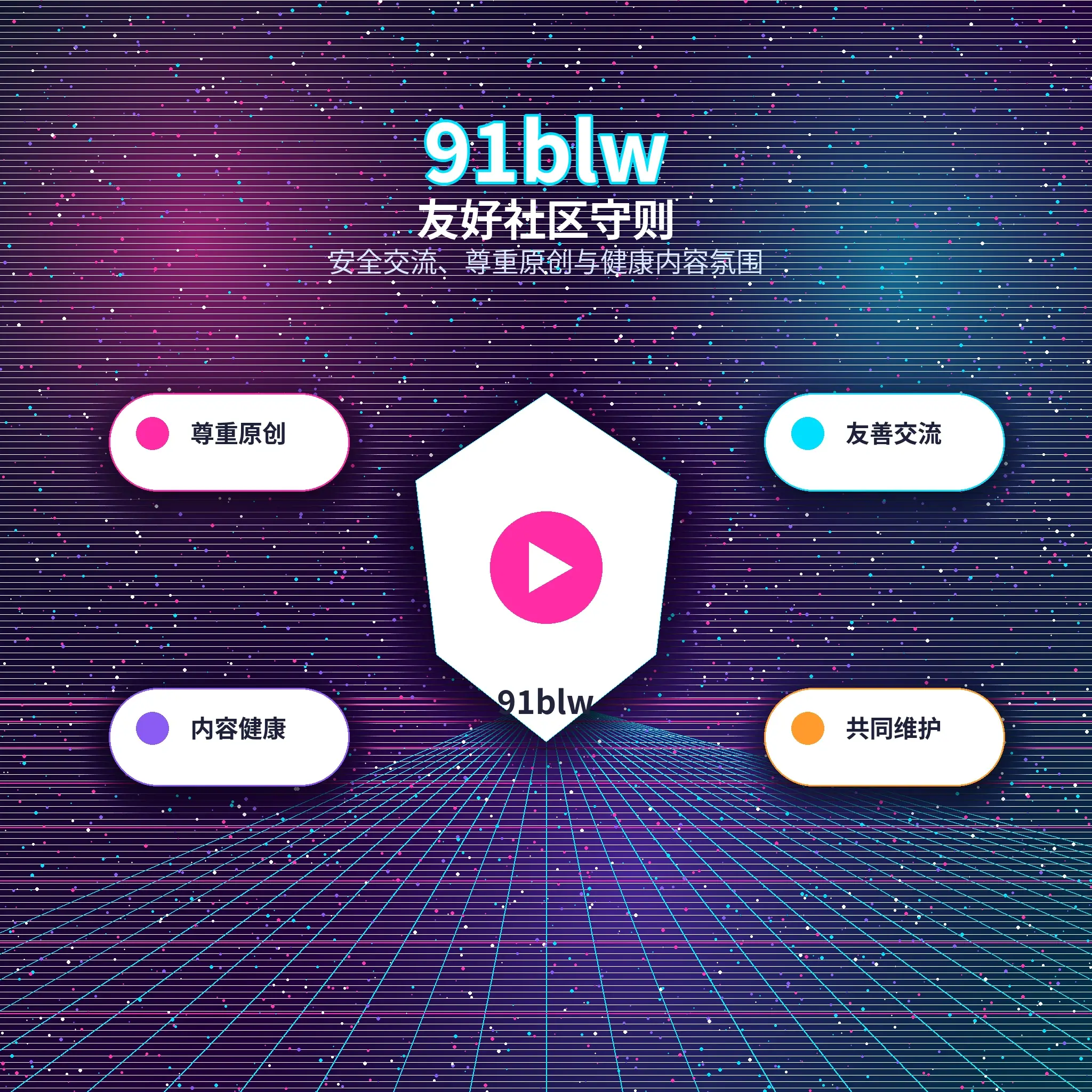91网账户资料与登录安全指南展示